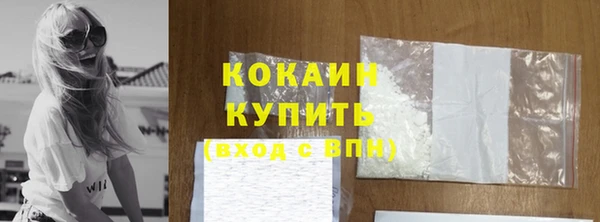 ECSTASY Бородино